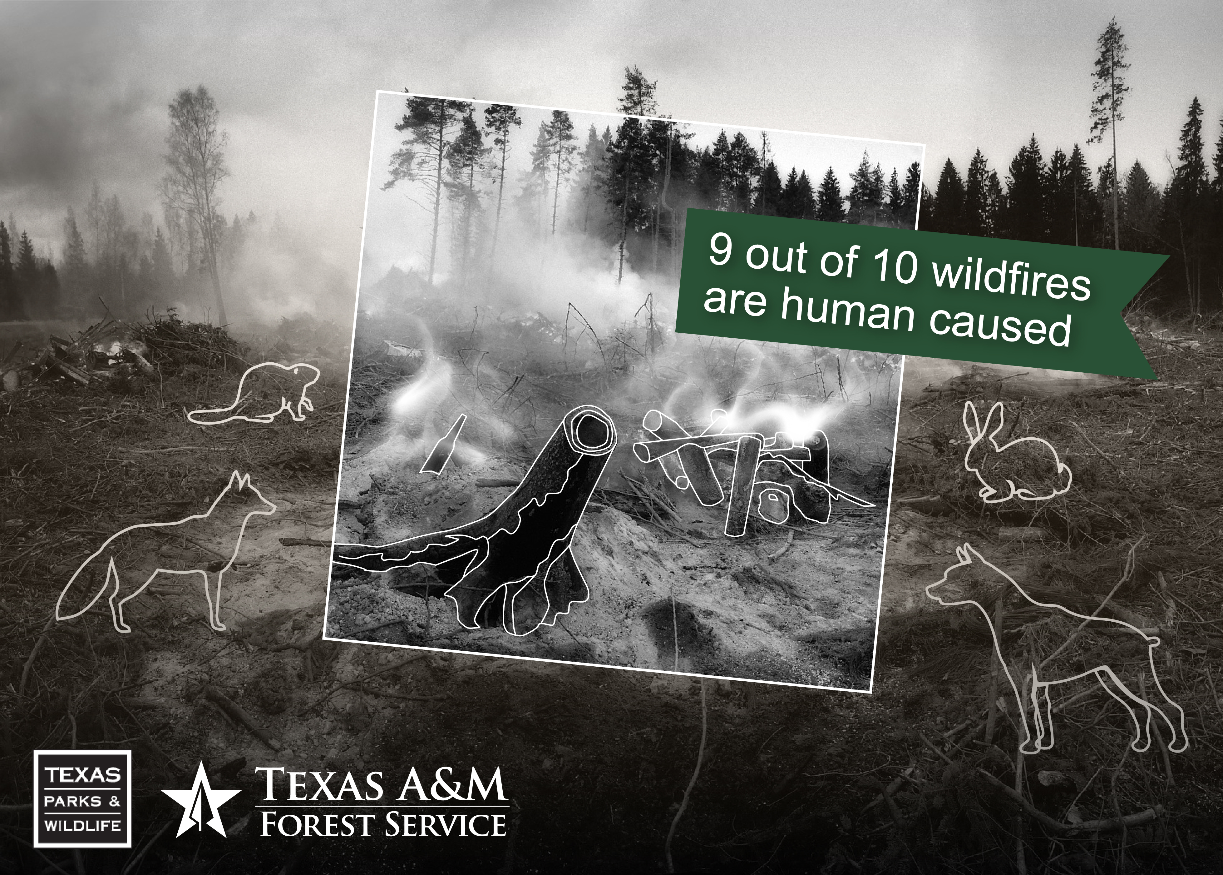 9 Out of 10 Wildfires Are Human Caused